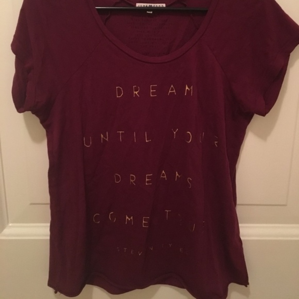 Steven Tyler Junk Food t-shirt "Dream On" 🎶🎶